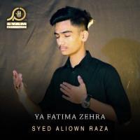 Ya Fatima Zehra Syed Aliown Raza Song Download Mp3
