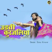 Udti Kurjaliya Sonu Kawar Song Download Mp3