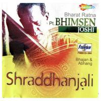 Avagha Ananad Anand Pandit Bhimsen Joshi Song Download Mp3