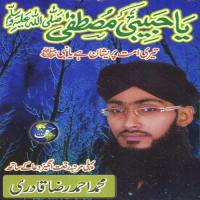 Yehi Hai Hukum E Khuda Muhammad Ahmed Raza Qadri Song Download Mp3