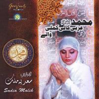 Teray Qadmoon Main Sadia Malik Song Download Mp3