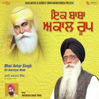 Avoh Sant Main Bhai Avtar Singh Sri Amritsar Wale Song Download Mp3