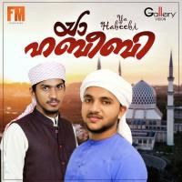 Maulaya Hafiz Rajeeb Mamburam Song Download Mp3