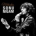 Sonu Nigam Melody Hits songs mp3