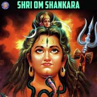 Shiv Tandav Stotra Rajessh Iyer Song Download Mp3