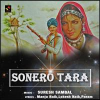 Sonero Tara Lokesh Naik Song Download Mp3