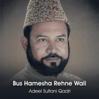 Bus Hamesha Rehne Wali Adeel Sultani Qadri Song Download Mp3