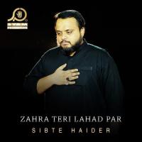 Zahra Teri Lahad Par Sibte Haider Song Download Mp3