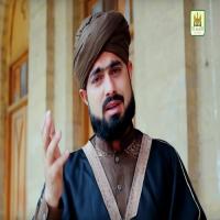 Pukaro Ya Ali Haider Ali Ashgar Song Download Mp3
