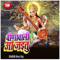 Vina Wali Aa Jaitu Ravi Raj Song Download Mp3