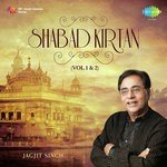 Satnaam Waheguru Dhun Jagjit Singh Song Download Mp3