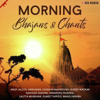 Shyam Shyam Ratati Meera Lalitya Munshaw Song Download Mp3