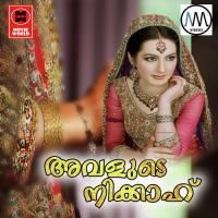 Jeevananaval Jeevitham Ali Mangad Song Download Mp3