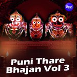 Puni Thare Bhajan - Vol. 3 songs mp3