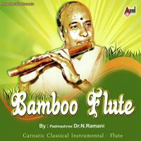 Bamboo Flute songs mp3