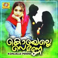 Konjalle Penne Sameer Song Download Mp3