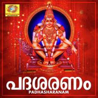 Swami Shabarisha Santhosh Keshav Song Download Mp3