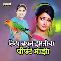 Tila Baghun Zurtoya Popat Maza Aadit Tambe Song Download Mp3