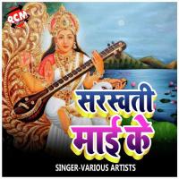 A Ho Mai Vinawali Neha Bansal Song Download Mp3