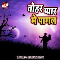 Chadhali Jawani Hamar Raj Mangal Song Download Mp3