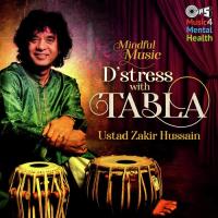 Mindful Music D-Stress with Tabla songs mp3