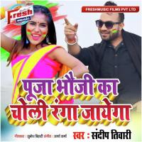 Puja Bhauji Ka Choli Ranga Jayega Navin Diwana Song Download Mp3