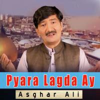 Pyara Lagda Ay Asghar Ali Song Download Mp3