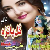Mala Khob Ne Razi Gul Panra Song Download Mp3
