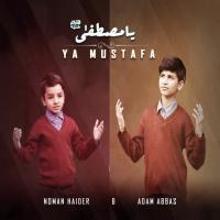 Ya Mustafa Noman Haider,Adam Abbas Song Download Mp3