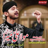 Mola Ali Mera Mola Ali Jahanzaib Qadri Song Download Mp3