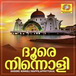 Dhoore Ninnoli Mappilappattukal songs mp3