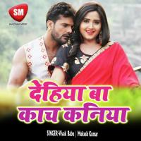 Fix Bate Saij Dosar Palak Nahi Lagi Raj Kishor Bhagat Song Download Mp3