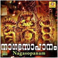 Puliykkalnagayakshi Sujith Krishna Song Download Mp3