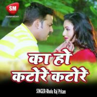 Har Dam Rahile Choli Se Paresan A Saiya Bholu Raj Pritam Song Download Mp3