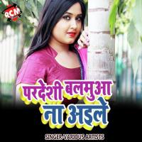 Pardeshi Balmua Na Aile songs mp3