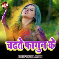 Chadhate Fagun Ke Sobha Shivani Song Download Mp3