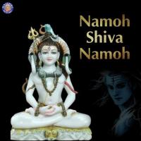 Namoh Shiva Namoh songs mp3