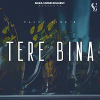 Tere Bina Pavvy Virk Song Download Mp3