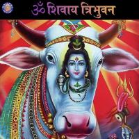 Dwadasha Jyotirlinga Stotra Ketan Patwardhan Song Download Mp3