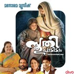 Sthithi Paadidam songs mp3