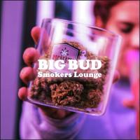 Big Bud Smokers Lounge songs mp3