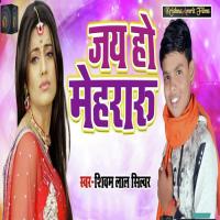 Jai Ho Meheraru Shivam Lal Silver Song Download Mp3