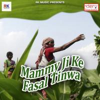 Kari Jodiya Maai Boliya Sawar Di Nidhi Dubey Song Download Mp3