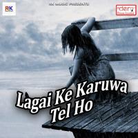 Holi Bhauji Khojeli Yaar Raju Rawana Song Download Mp3