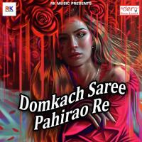 Domkach Saree Pahirao Re songs mp3