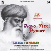 Aavo Meet Pyaare Bhai ArvinderJit Singh Ji Song Download Mp3