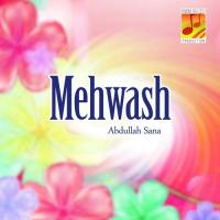 Mehwash songs mp3