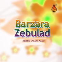 Barzara Zebulad songs mp3