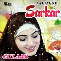 Aa Gaye Ne Sarkar Gulaab Song Download Mp3