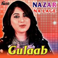 Nazar Na Lage Gulaab Song Download Mp3